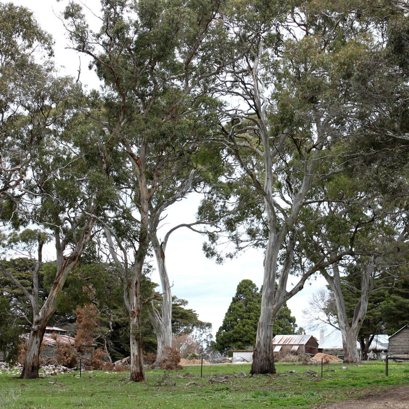 Moranghurk - Rural Accommodation Lethbridge Vic