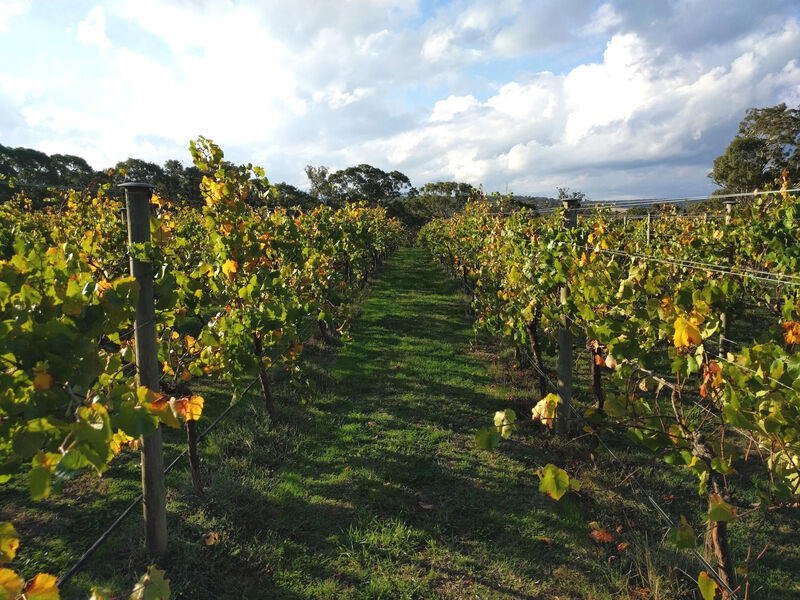 Moranghurk - Rural Accommodation Lethbridge Vic